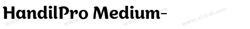 HandilPro Medium字体转换